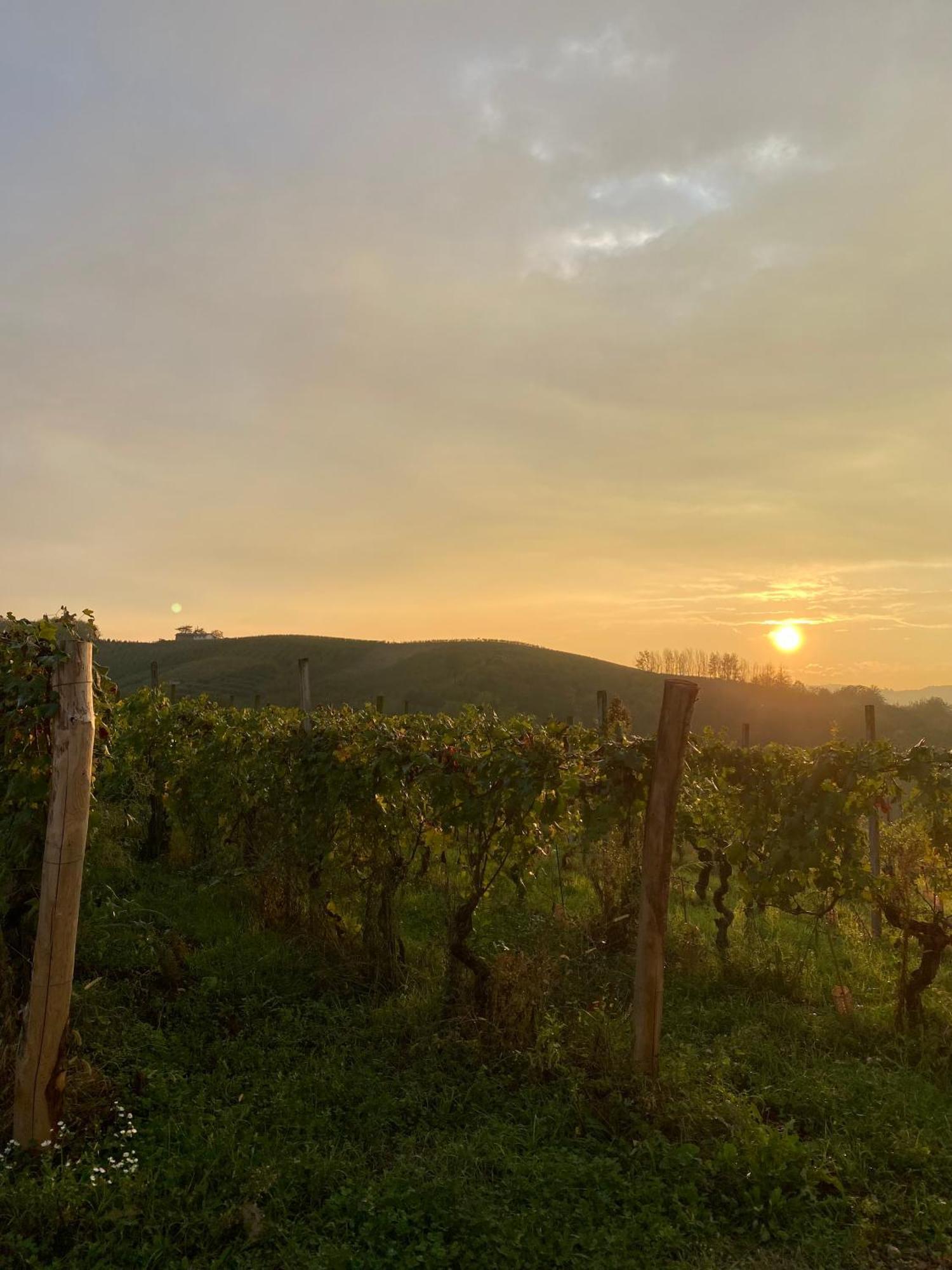 Tenuta Agricola La Cava- Cantina E Agriturismo San Damiano dʼAsti Kültér fotó