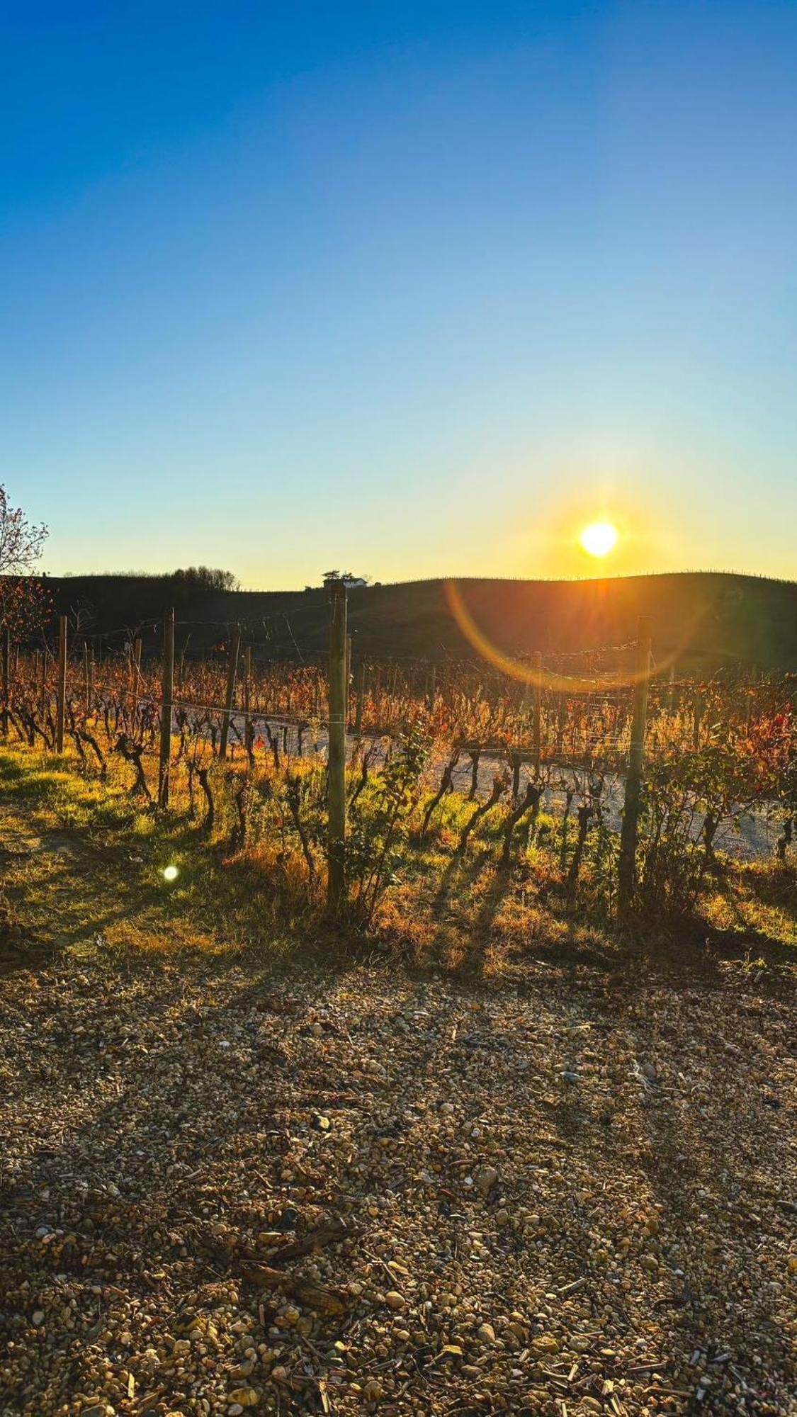 Tenuta Agricola La Cava- Cantina E Agriturismo San Damiano dʼAsti Kültér fotó