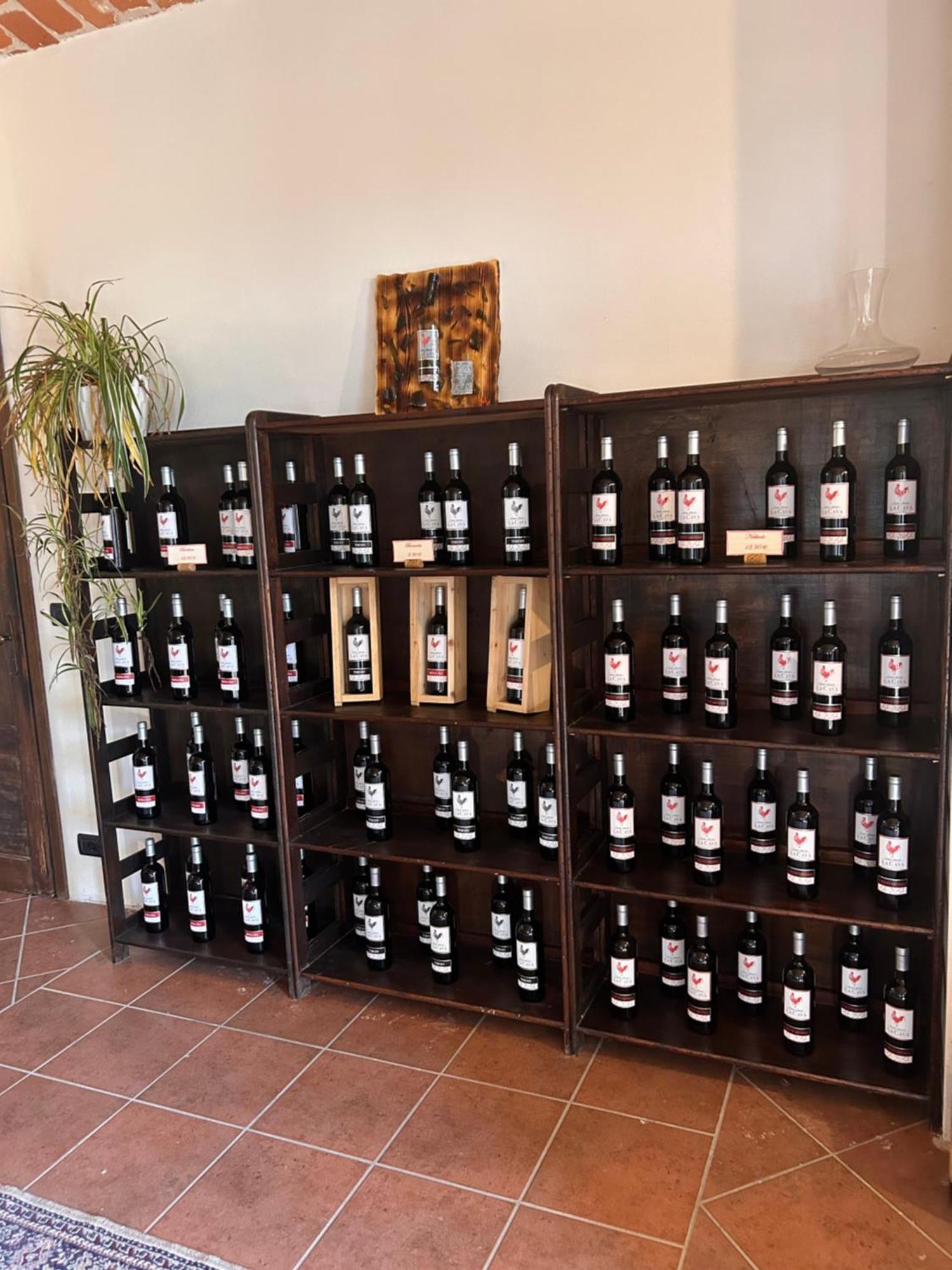 Tenuta Agricola La Cava- Cantina E Agriturismo San Damiano dʼAsti Kültér fotó