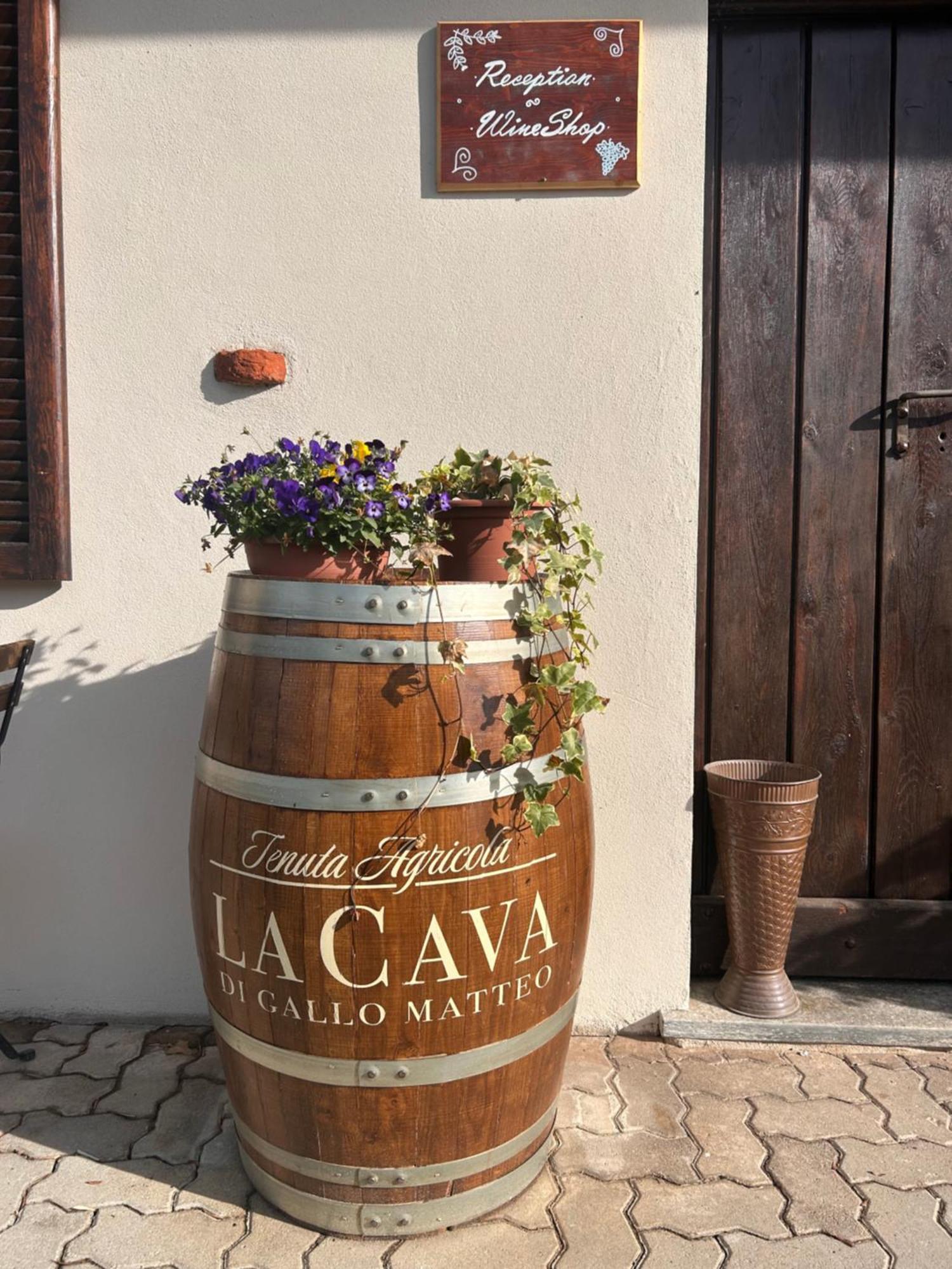 Tenuta Agricola La Cava- Cantina E Agriturismo San Damiano dʼAsti Kültér fotó
